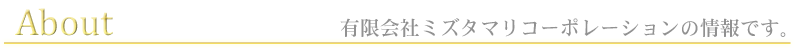 有限会社ミズタマリコーポレーションの情報です